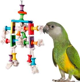 img 4 attached to 🦜 Medium Bird Toy: Super Bird Creations SB468 Dancing Spools - Dimensions: 13&#34; x 8&#34; x 2&#34;