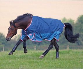 img 1 attached to Shires Highlander Lite Turnout Blanket 69 Petrol: Premium Pet Protection for All-Weather Comfort