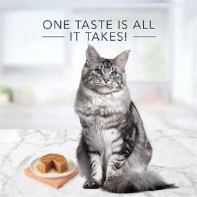 img 1 attached to Blue Buffalo Tastefuls Natural Mature Pate Wet Cat Food, Chicken Entrée 3-oz cans (Pack of 24): Nutritious and Delicious Cat Food for Mature Cats