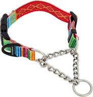 pattern collection leashboss chain martingale dog collar with reflective features, no pull training collar, stainless steel chain logo