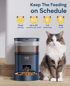 img 2 attached to Automatic Cat Feeder With 17-Cup Capacity And Oneisall Cat Water Fountain