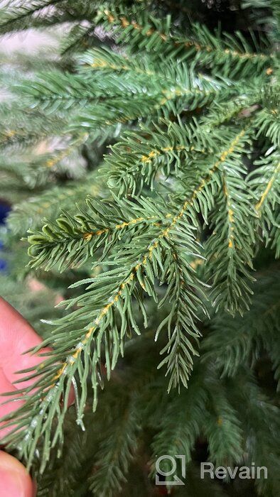 img 3 attached to 🎄 180cm Royal Artificial Spruce Christmas Tree in Auckland review by Jnis ubars ᠌