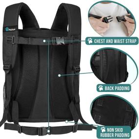 img 1 attached to 🐾 PetAmi Deluxe Small Cat and Dog Backpack Carrier, Puppies, Reinforced Frame, Ventilated Design, Dual Entry Points, Safety Cushion Back Support, for Travel, Hiking, Outdoor Activities