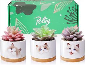 img 4 attached to POTEY Ceramic Cat Planter With Fake Plant, 3.23-Inch Pot, Gift Box And Card - Perfect For Cat Lovers, Home Decor, Birthdays, And Weddings