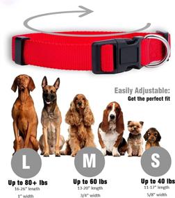 img 2 attached to 🐶 Native Pup Basic Nylon Dog Collar: Adjustable for Small, Medium, Large Pets & Puppies - Cute Colors for Male, Female, Boy, Girl, Puppy (Medium, Red)