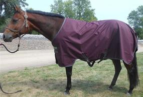 img 1 attached to Horseware Turnout Sheet Wineberry Black Horses better for Horse Blankets & Sheets