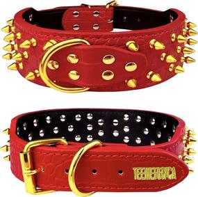 img 3 attached to 🐶 TEEMERRYCA Wide Leather Spiked Studded Red Dog Collars with Gold Studs – Ideal for Small, Medium, and Large Dogs – Girls, Boys, Pitbull, Bulldog, Doberman, German Shepard – Ensuring Ultimate Neck Protection – Size M (18.9"-22")