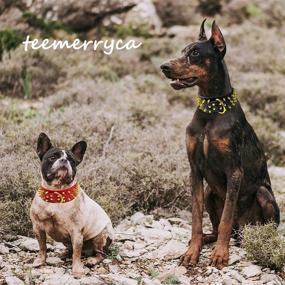 img 2 attached to 🐶 TEEMERRYCA Wide Leather Spiked Studded Red Dog Collars with Gold Studs – Ideal for Small, Medium, and Large Dogs – Girls, Boys, Pitbull, Bulldog, Doberman, German Shepard – Ensuring Ultimate Neck Protection – Size M (18.9"-22")