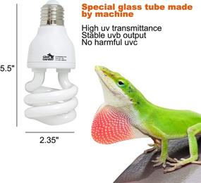 img 2 attached to 🐍 Giangarden UVA UVB Reptile Light: A Powerful 10.0 Tropical UVB 100 Compact Fluorescent Lamp for Rainforest Reptiles - Snake, Lizard, Insect, Turtle, and Tortoise (UVB10.0-13W)