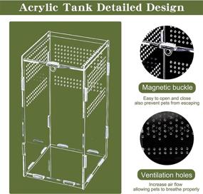 img 2 attached to FORKPIE Reptile Terrarium Acrylic Tank: 4.7x4.7x7.8inch Enclosure for Jumping Spider, Tarantula, Insects | Full View Feeding Tank for Reptiles, Mantis, Lizard, Snake, Gecko Habitat