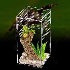 img 4 attached to FORKPIE Reptile Terrarium Acrylic Tank: 4.7x4.7x7.8inch Enclosure for Jumping Spider, Tarantula, Insects | Full View Feeding Tank for Reptiles, Mantis, Lizard, Snake, Gecko Habitat