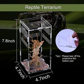 img 3 attached to FORKPIE Reptile Terrarium Acrylic Tank: 4.7x4.7x7.8inch Enclosure for Jumping Spider, Tarantula, Insects | Full View Feeding Tank for Reptiles, Mantis, Lizard, Snake, Gecko Habitat
