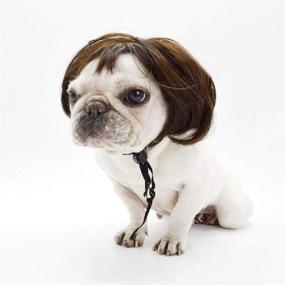 img 1 attached to 🎃 AFXOBO Dog Cosplay Wig: Fun-filled Pet Costumes for Halloween Christmas Parties & Festivals