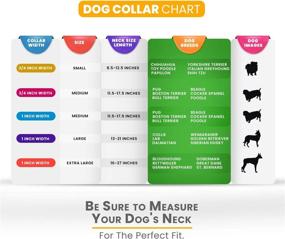 img 1 attached to Moose Pet Wear Dog Collar Cats at Collars, Harnesses & Leashes