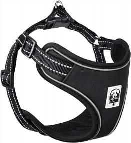 img 4 attached to KIPRITII No Pulling Dog Harness: Perfect For Small Dogs, Reflective & Adjustable Puppy Vest!