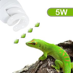 img 2 attached to 🐢 OIIBO 5.0 UVB Reptile Light: Mini UVB 5W Bulb & Deep Dome Fixture for Small Terrariums - Ideal for Turtle Red Legs & Tropical Animals