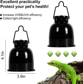 img 1 attached to 🐢 OIIBO 5.0 UVB Reptile Light: Mini UVB 5W Bulb & Deep Dome Fixture for Small Terrariums - Ideal for Turtle Red Legs & Tropical Animals