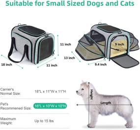 img 3 attached to 🐾 Upgrade EVA Material Pet Carrier - Airline Approved Cat and Dog Carrier for Small Dogs - TSA Approved - Expandable Soft-Sided Collapsible Cat Travel Bag with Removable Fleece Pad by SHSYCER