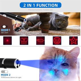 img 3 attached to 🔦 Rechargeable Mini UV Flashlight Black Light with Interactive Cat Dog Toy - 2 in 1 Function for Pet Stains, Bed Bug, and Home Essentials Detection