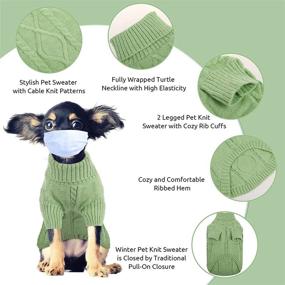 img 3 attached to 🐶 Queenmore Small Dog Pullover Sweater - Cold Weather Cable Knitwear with Classic Turtleneck - Thick Warm Clothes for Chihuahua, Bulldog, Dachshund, Pug, Yorkie - Green Color - X-Small Size