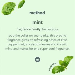img 2 attached to 🌿 Mint Scented Method Glass Cleaner Spray - Ammonia Free, Plant-Based Solution, Ideal for Indoor and Outdoor Glass Surfaces - 828 ml Spray Bottles, 28 Fl Oz (Pack of 8)