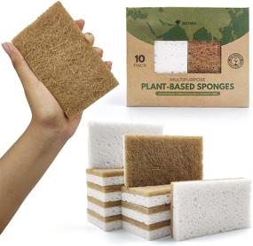 img 4 attached to 🌱 Pack of 10 Eco Friendly Biodegradable Kitchen Sponges - Compostable Cellulose and Coconut Walnut Scrubber Sponges for Dishes - Natural and Sustainable