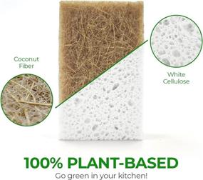 img 3 attached to 🌱 Pack of 10 Eco Friendly Biodegradable Kitchen Sponges - Compostable Cellulose and Coconut Walnut Scrubber Sponges for Dishes - Natural and Sustainable