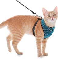 🐈 escape proof cat harness and leash set - adjustable vest harness with reflective trim - universal leash and harness for small animals - ideal for cats and puppies outdoor walking logo