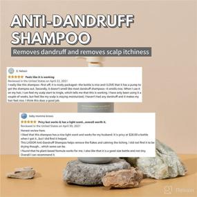 img 2 attached to 🧴 LADOR Anti Dandruff Shampoo - Powerful 16.9 Fl Oz Solution for Dandruff Control