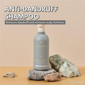 img 3 attached to 🧴 LADOR Anti Dandruff Shampoo - Powerful 16.9 Fl Oz Solution for Dandruff Control