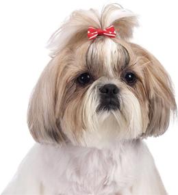 img 1 attached to 🎀 Aria Romeo Bows for Dogs: 48-Piece Canisters - Stylish Accessories for Your Furry Friend!