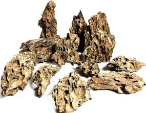 img 4 attached to Voulosimi Dragon Stone Rock: Premium Aquascaping Decoration for Aquariums (Mixed Sizes, 18 lb)