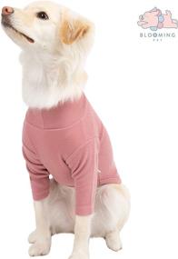 img 3 attached to 🐶 Soft Warm Light Turtleneck Spring Tshirt for Small Puppy Dogs - Blooming Pet Sweater in Colorful Stylish Design (XL, Baby Pink)