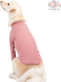 img 2 attached to 🐶 Soft Warm Light Turtleneck Spring Tshirt for Small Puppy Dogs - Blooming Pet Sweater in Colorful Stylish Design (XL, Baby Pink)