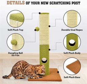 img 1 attached to Petellow 31-Inch Tall Cactus Cat Scratching Post with 2 Play Balls - Natural Sisal-Covered Square Cat Scratching Tower for Indoor Cats - Ideal Cat Scratcher for Kittens and Large Cats