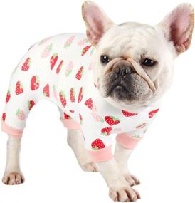 img 4 attached to Pawcomon Clothes Jumpsuit Bodysuit Strawberry Dogs good in Apparel & Accessories