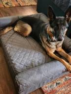 img 1 attached to Medium Memory Foam Dog Bed By Furhaven - Comfy Couch Plush Decor Sofa-Style With Removable & Washable Cover, Diamond Gray - Ideal For Small To Medium-Sized Dogs review by Mike Modesto