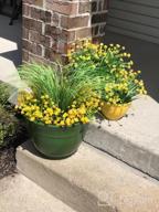 img 1 attached to Add Vibrant Yellow Daffodils To Your Space With Foraineam'S Artificial Flower Bundles - Perfect For Indoor And Outdoor Decorating! review by Noe Epps