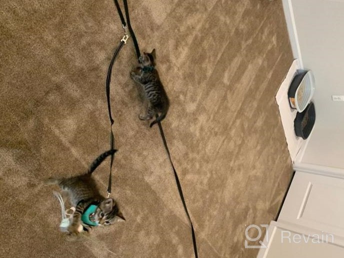 img 1 attached to Adjustable Escape-Proof Cat Harness And Leash Set - Soft And Breathable Walking Jacket For Small Pets, With Durable Metal Leash Ring - Perfect For Kittens And Puppies - Size Medium review by Lauren Lewis