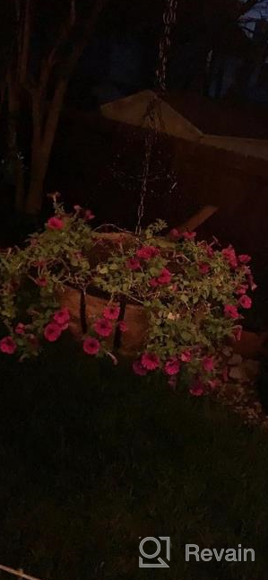 img 1 attached to Add Charm To Your Outdoor Area With Gardman R945 Forge Hanging Basket And Coco Liner | 12" X 7" Dimensions review by Craig Walters