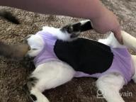 img 1 attached to Cat And Dog Surgical Recovery Suit With E-Collar Alternative - Professional Abdominal Wound Protection And Comfortable Onesie Pajama For Post-Surgery Pets, Ideal For Cats review by James Murphy