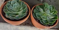 img 1 attached to Set Of 2 POTEY 6.1" Terracotta Planters W/ Drainage Hole For Succulent & Cactus review by Cashout Harden