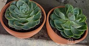 img 7 attached to Set Of 2 POTEY 6.1" Terracotta Planters W/ Drainage Hole For Succulent & Cactus
