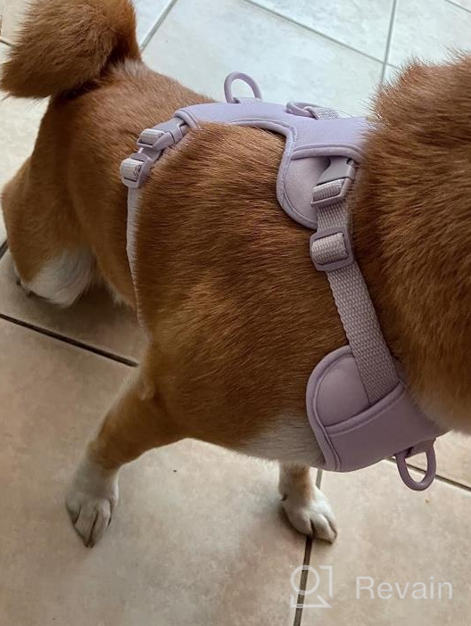 img 1 attached to 🐾 ARRR No-Pull Dog Training Harness for Medium and Small-Sized Dogs with Front Leash Clip, Soft Padded Vest, Reflective Design, Easy Control Handle Leash, Escape-Proof (Opal Green, L) review by Pete Juarez