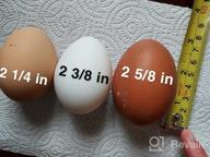 картинка 1 прикреплена к отзыву Toplife Clear Plastic Eco-Friendly Egg Carton Set - 60 Ct., Securely Holds 6 Eggs with Sticker Labels от Chris Bradford