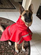 img 1 attached to 🐶 Protective Pet Gear: NINEMAX Dog Raincoat with Reflective Strip for Medium-Large Dogs review by Jackquell Cash