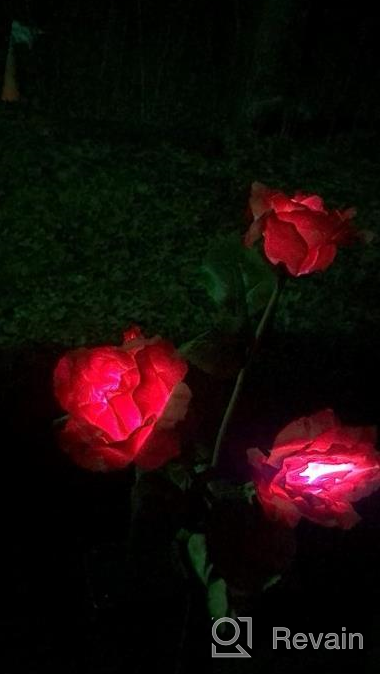 img 1 attached to Illuminate Your Garden With TONULAX Solar Rose Lights - 7-Color Changing, Realistic Flower Design, Enlarged Solar Panel - Perfect For Yard And Garden Decoration (2 Packs) review by Montez Parson