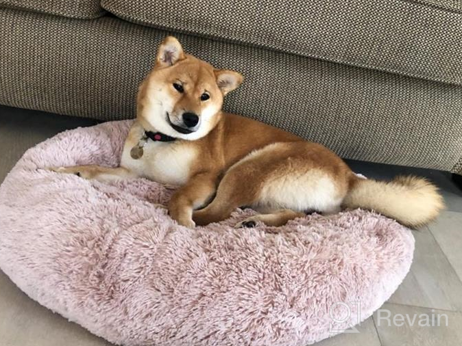 img 1 attached to Grey Anti-Anxiety Donut Dog Bed For Small Medium Dogs - Calming Pet Cuddler Bed With Soft Plush Faux Fur, Machine Washable And Anti-Slip Bottom By JOEJOY review by Jamal Sandridge