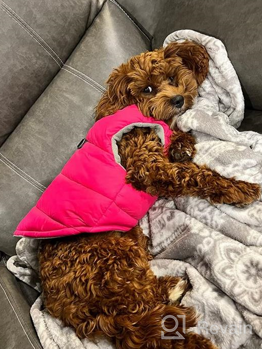 img 1 attached to Gooby Padded Vest Dog Jacket - Solid Pink, Medium - Warm Zip Up Dog Vest Fleece Jacket With Dual D Ring Leash - Water Resistant Small Dog Sweater - Dog Clothes For Small Dogs Boy And Medium Dogs review by Rick Turner