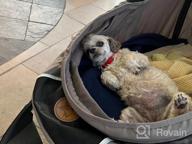 img 1 attached to Hauck Tog Fit Pet Roadster - Perfect For Traveling With Your Furry Friend! review by John Akins